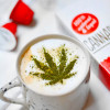 CBD kava Cannabissimo (8% cvetov), 250 g