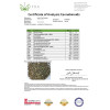 Kanabi konopljin čaj, 4 % CBD, 40 g